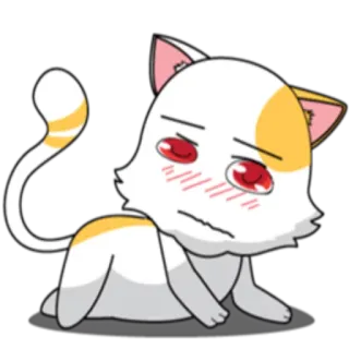 ️ 猫, 动漫, 卡哇伊, 可爱, 小猫, 动物 whatsapp sticker