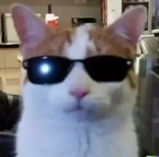 😎 고양이, 선글라스, 멋진, 동물, 애완동물 telegram sticker