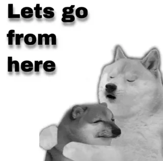 😂 Lets go from here perro, meme, shiba inu, divertido, vamos telegram sticker