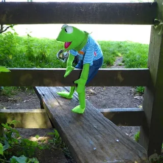 😀 Kermit the Frog frog, kermit, puppet, green, character, muppet telegram sticker