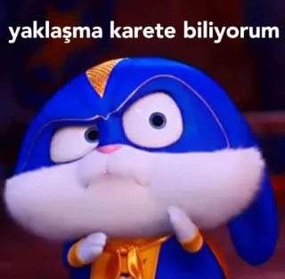 🔪 Snowball The Secret Life of Pets yaklaşma karete biliyorum 토끼, 바니, 만화, 애니메이션, 영화, 웃긴, 화난, 마이펫의 이중생활 whatsapp sticker