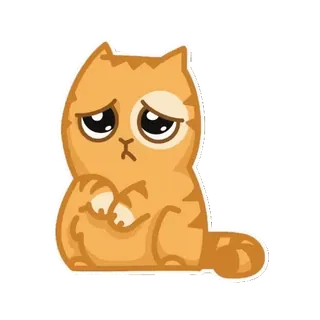 😔 gatto, triste, carino, animale, arancione telegram sticker