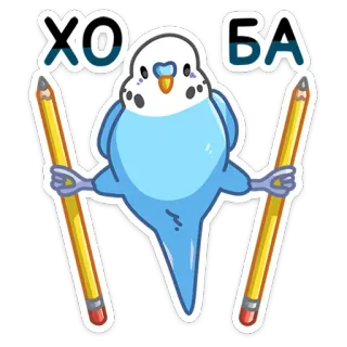 ✏️ ХО
БА vogel, parkiet, potlood, schattig, blauw, dier, sticker, grappig telegram sticker