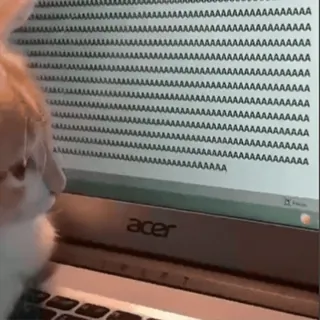 🫠 AAAAAAAAAAAAAAAAAAAAAAAAAAAAAAAAAAAAAAAAAAAAAAAAAAAAAAAAAAAAAAAAAAAAAAAAAAAAAAAAAAAAAAAAAAAAAAAAAAAAAAAAAAAAAAAAAAAAAAAAAAAAAAAAAAAAAAAAAAAAAAAAAAAAAAAAAAAAAAAAAAAAAAAAAAAAAAAAAAAAAAAAAAAAAAAAAAAAAAAAAAAAAAAAAAAAAAAAAAAAAAAAAAAAAAAAAAAAAAAAAAAAAAAAAAAAAAAAAAAAAAAAAAAAAAAAAAAAAAAAAAAAAAAAAAAAAAAAAAAAAAAAAAAAAAAAAAAAAAAAAAAAAAAAAAAAAAAAAAAAAAAAAAAAAAAAAAAAAAAAAAAAAAAAAAAAAAAAAAAAAAAAAAAAAAAAAAAAAAAAAAAAAAAAAAAAAAAAAAAAAAAAAAAAAAAAAAAAAAAAAAAAAAAAAAAAAAAAAAAAAAAAAAAAAAAAAAAAAAAAAAAAAAAAAAAAAAAAAAAAAAAAAAAAAAAAAAAA cat, laptop, computer, typing, meme, animal, humor whatsapp sticker