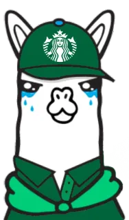 ☕️ лама, Starbucks, животное, плакать, плачущий whatsapp sticker