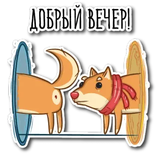 🖐 ДОБРЫЙ ВЕЧЕР! dog, portal, cartoon, funny, animal telegram sticker