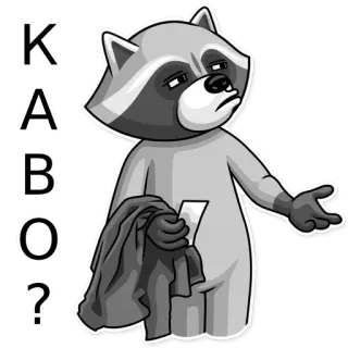 ❓ KABOO? Waschbär, Frage, Tier, Aufkleber, Grau, Cartoon whatsapp sticker