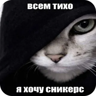 🫥 ВСЕМ ТИХО Я ХОЧУ СНИКЕРС telegram sticker