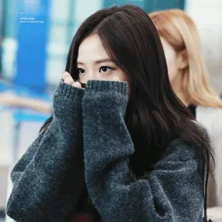 🦄 Jisoo Джису, K-pop, певица, айдол, мода в аэропорту, корейский whatsapp sticker