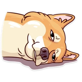 🙁 perro, animal, corgi, pegatina, perezoso, mascota, lindo whatsapp sticker