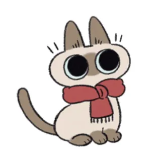 🧣 cat, siamese cat, kitten, scarf, animal, cute, pet, cartoon telegram sticker