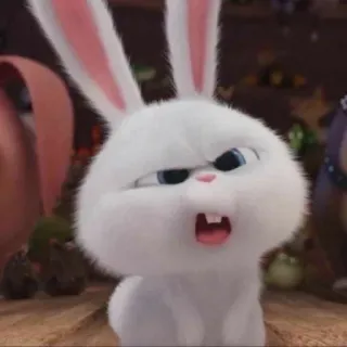 🌟 Snowball The Secret Life of Pets 兔子, 兔子, 动物, 可爱, 动画, 宠物 telegram sticker