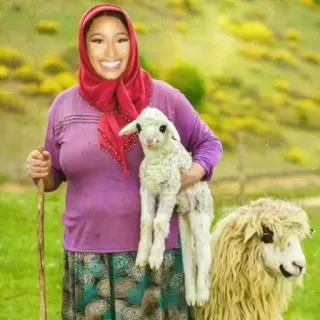 🥀 Nicki Minaj Nicki Minaj, ovelha, animal, cordeiro, rural, mulher, lenço de cabeça telegram sticker