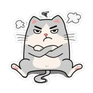 Little kitty telegram stickers