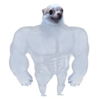💪 dog, muscular, meme, chihuahua, buff dog, animal telegram sticker