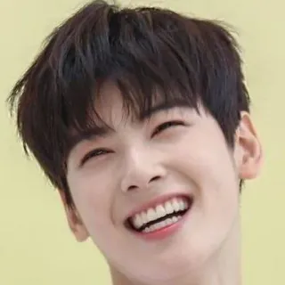 🐝 Cha Eun-woo Cha Eun-woo, Actor, Cantante, Ídolo, K-pop, Celebridad Coreana, ASTRO, Guapo, Hombre whatsapp sticker