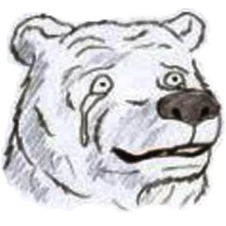 😔 urso, triste, chorando, animal, aflito, emoção, esboço telegram sticker