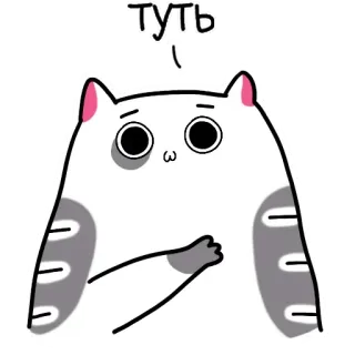 😘 туть แมว, การ์ตูน, น่ารัก, สัตว์, สัตว์เลี้ยง telegram sticker