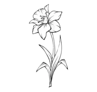 🌹 telegram sticker