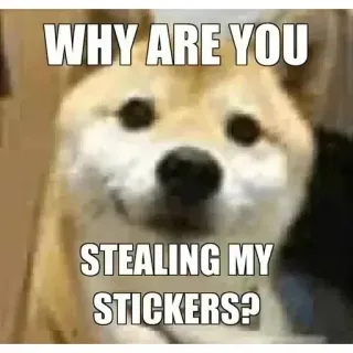 😒 WHY ARE YOU STEALING MY STICKERS? доге, собака, мем, стикеры whatsapp sticker