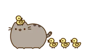🐱 Pusheen kat, eendjes, schattig, dieren, cartoon, kawaii telegram sticker