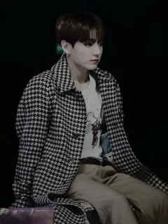 🥀 Jungkook kpop, певец, мода, мужчина, пальто, гусиная лапка telegram sticker