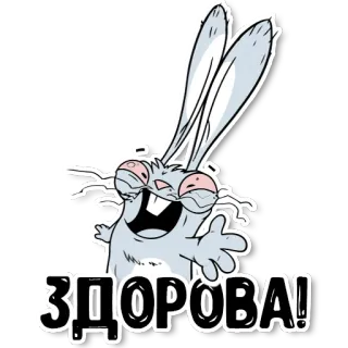 👋 ЗДОРОВА! kelinci, kartun, salam, rusia, bunny whatsapp sticker
