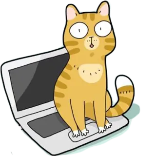 😲 gato, laptop, computador, animal, desenho animado, fofo, engraçado whatsapp sticker
