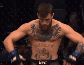 👏 Conor McGregor MCGREGOR UFC zawodnik, mieszane sztuki walki, MMA, UFC, sport, boks, sportowiec telegram sticker