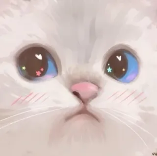 🌟 gato, gatito, lindo, kawaii, animal, mascota, ojos telegram sticker