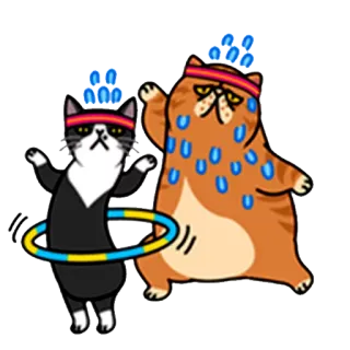 👯 кот, хулахуп, упражнения, пот, фитнес, мультяшный кот whatsapp sticker