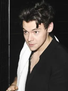 💸 Harry Styles chanteur, One Direction, Harry Styles, célébrité, pop star, musicien telegram sticker