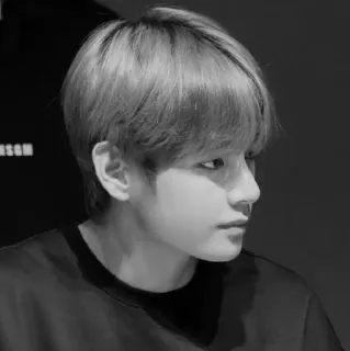 💿 V kpop, bts, 뷔, 한국팝, 아이돌, 가수 telegram sticker