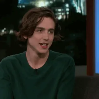 💎 Timothée Chalamet diễn viên, người nổi tiếng, chân dung, người đàn ông telegram sticker