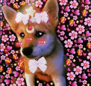 🥺 hond, schattig, kawaii, hartjes, strikken, bloemen, sterren telegram sticker