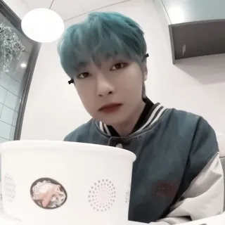 🦊 whatsapp sticker