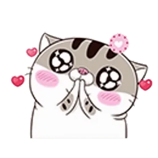 😍 Katze, betteln, süß, kawaii, flehend, Herzen telegram sticker