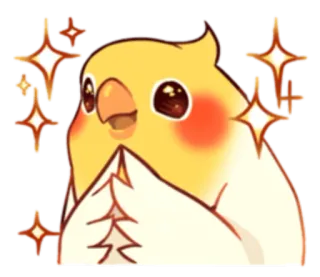 🙏 นกค็อกคาเทล, นก, น่ารัก, ประกาย, สัตว์, สัตว์เลี้ยง telegram sticker