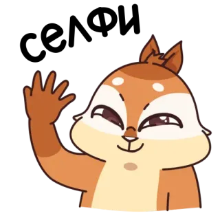 🤳 wiewiórka, kreskówka, zwierzę, słodki, machający, przyjazny telegram sticker