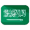 🇸🇦