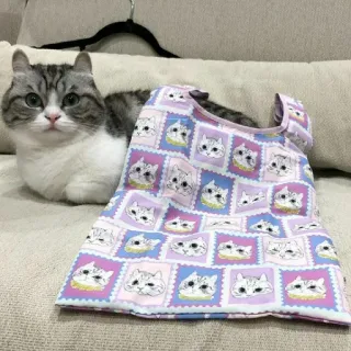 🛌 cat, animals, bag, cute whatsapp sticker