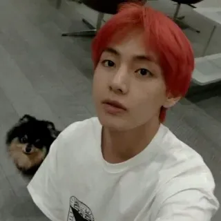 ⚔ person, man, dog, pet, selfie, k-pop, BTS telegram sticker