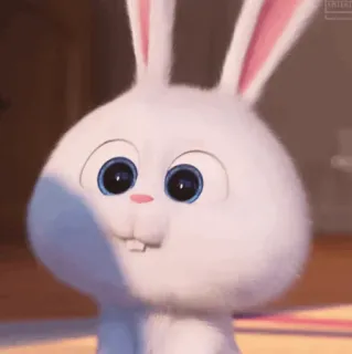 ❄ Snowball The Secret Life of Pets bunny, cute, rabbit, white, animal, cartoon telegram sticker