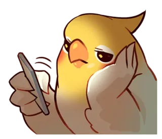🙁 vẹt mào, chim, điện thoại thông minh, dễ thương, động vật, điện thoại telegram sticker