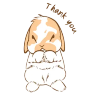 😌 Thank you kelinci, imut, hewan, terima kasih, terima kasih whatsapp sticker