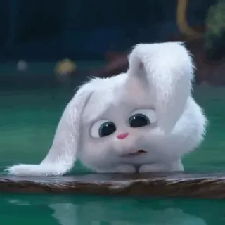 🍓 Snowball The Secret Life of Pets กระต่าย, น่ารัก, บันนี่, สัตว์เลี้ยง, การ์ตูน, สัตว์ telegram sticker