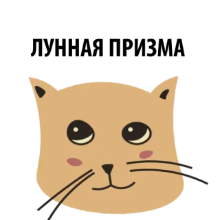 🦄 gato, animal, animal de estimação, fofo, gatinho, desenho animado telegram sticker
