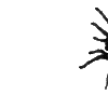 🕷️