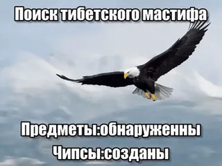 Больше стиков тут: @stikery4 whatsapp stickers