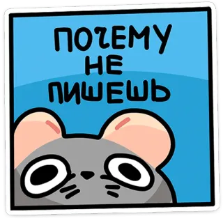 😐 ПОЧЕМУ НЕ ПИШЕШЬ dessin animé, souris, russe, autocollant, texte telegram sticker